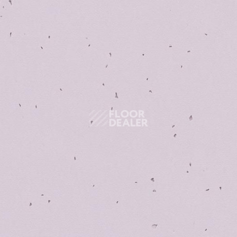 Линолеум Forbo Sphera Energetic 50234 lilac фото 1 | FLOORDEALER